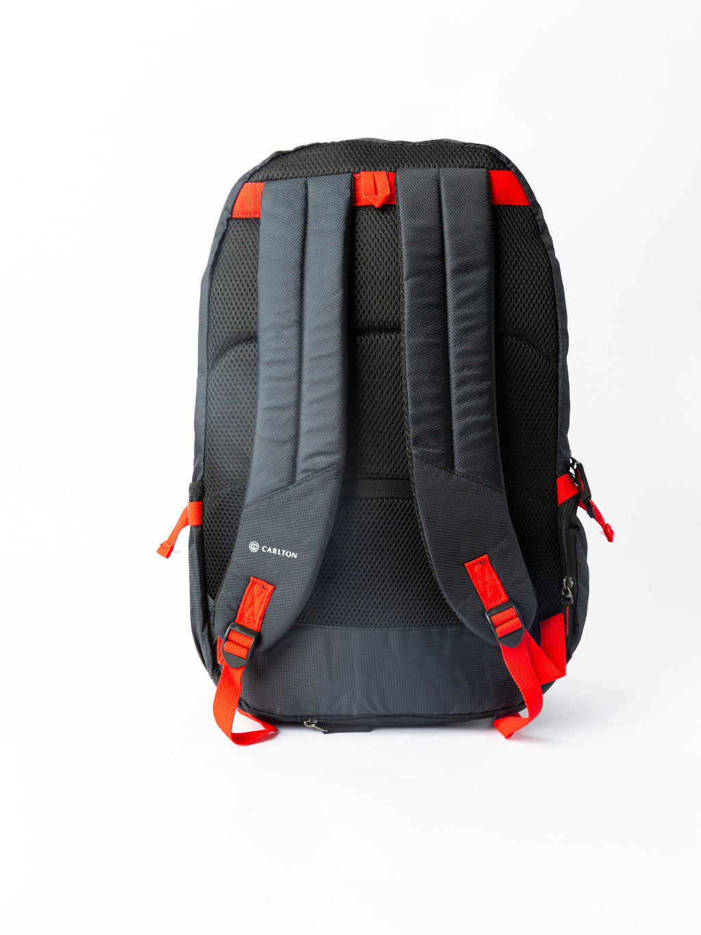 Carlton Nord Plus Laptop Backpack