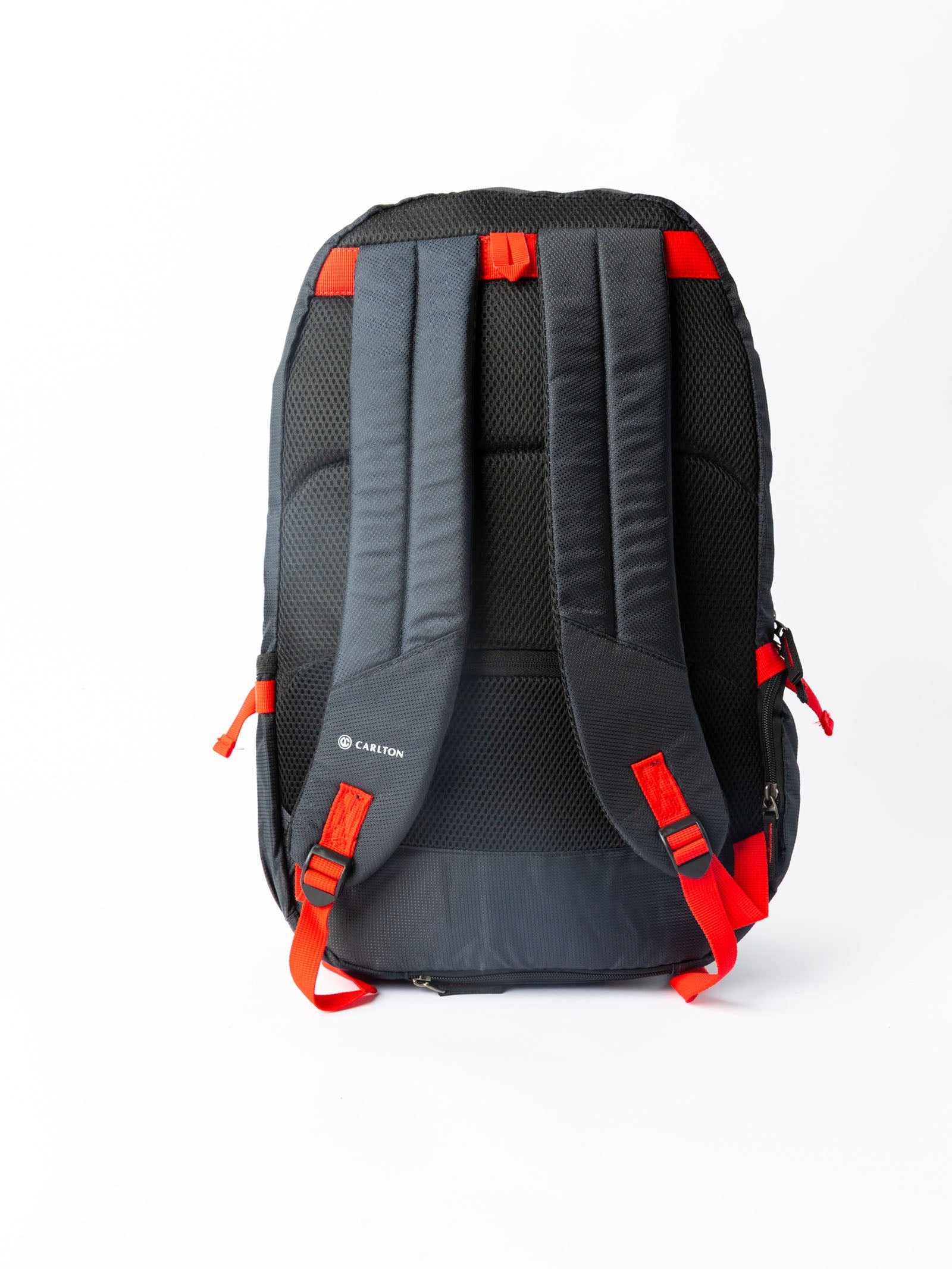 Carlton Nord Plus Laptop Backpack